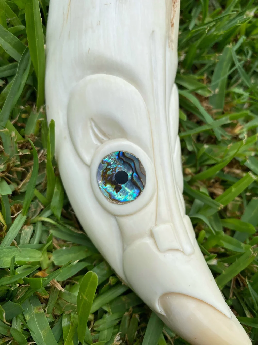 1EE69E3D-D1E7-4183-ACC2-73FB967B0DD5