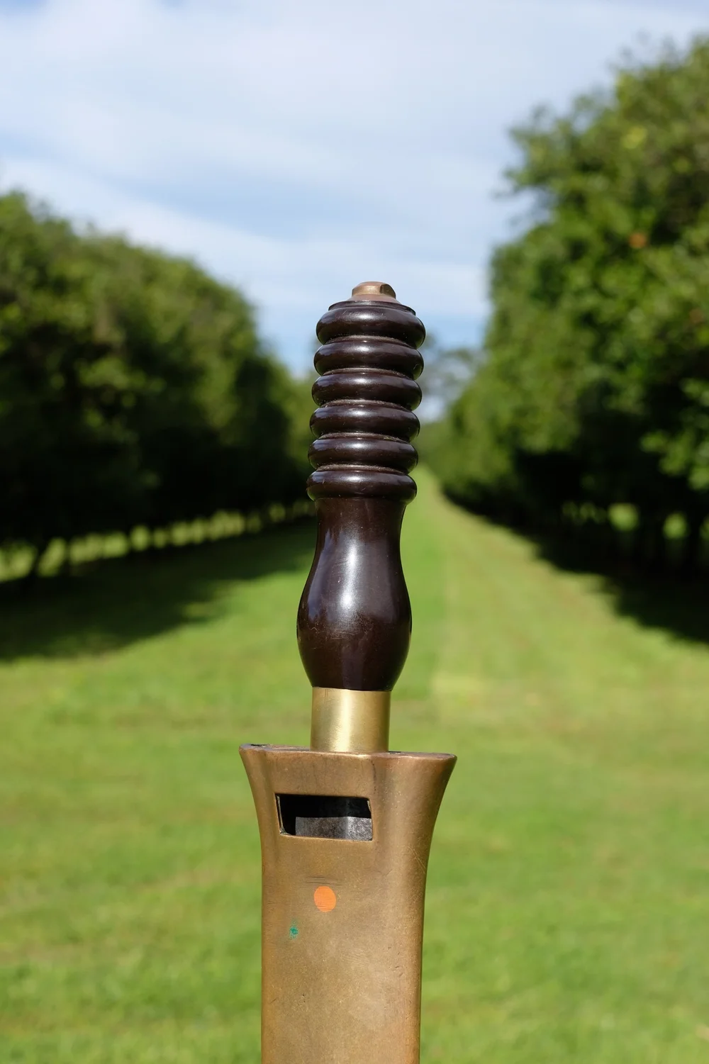 2F9A1D46-392F-4BC5-B61A-FAEC1C94229E