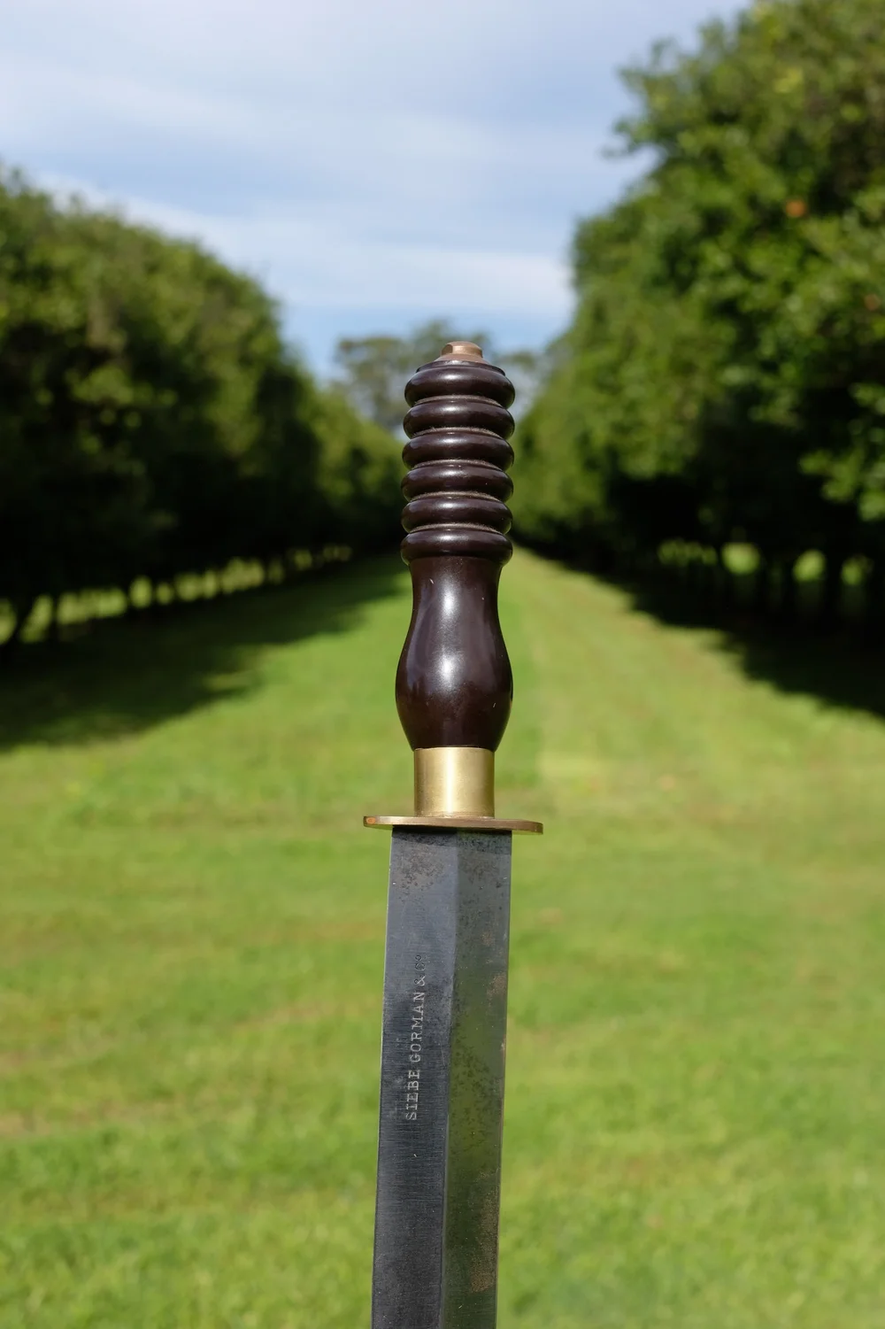 5359D538-9E7E-4FDC-8188-EF18D3D8D652 (1)