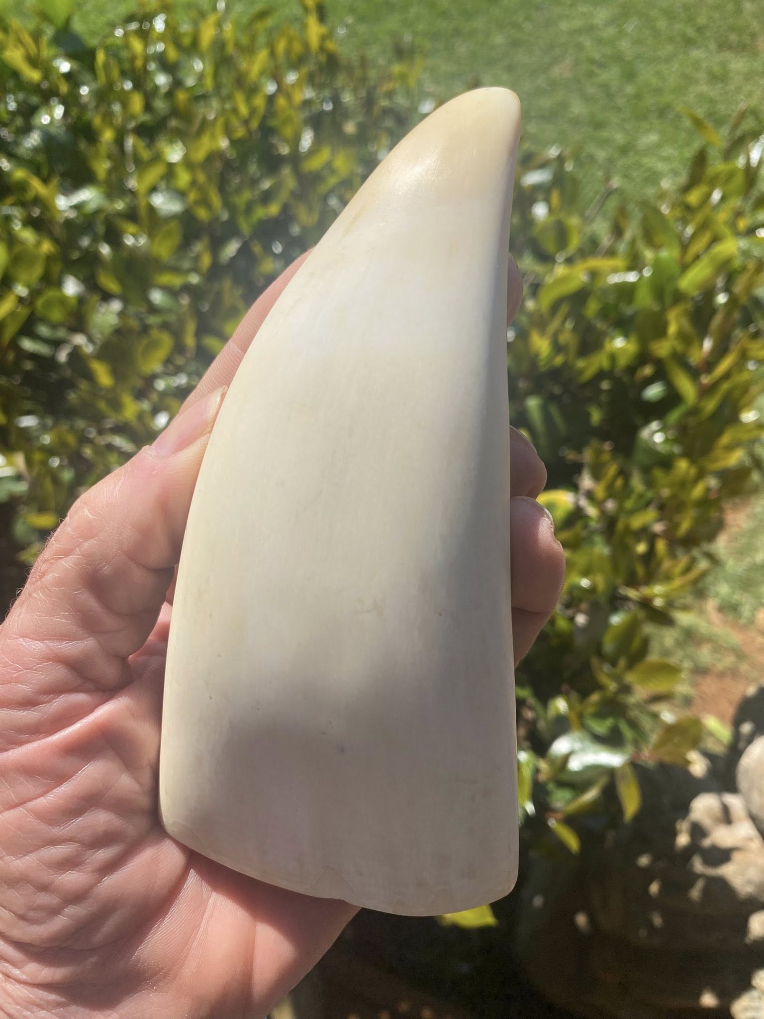 552042567_3215623881921319_1195421291488536903_n