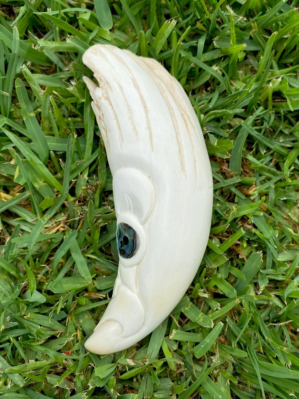 C7409C59-D73A-4489-BFBC-BC33B1A480BD