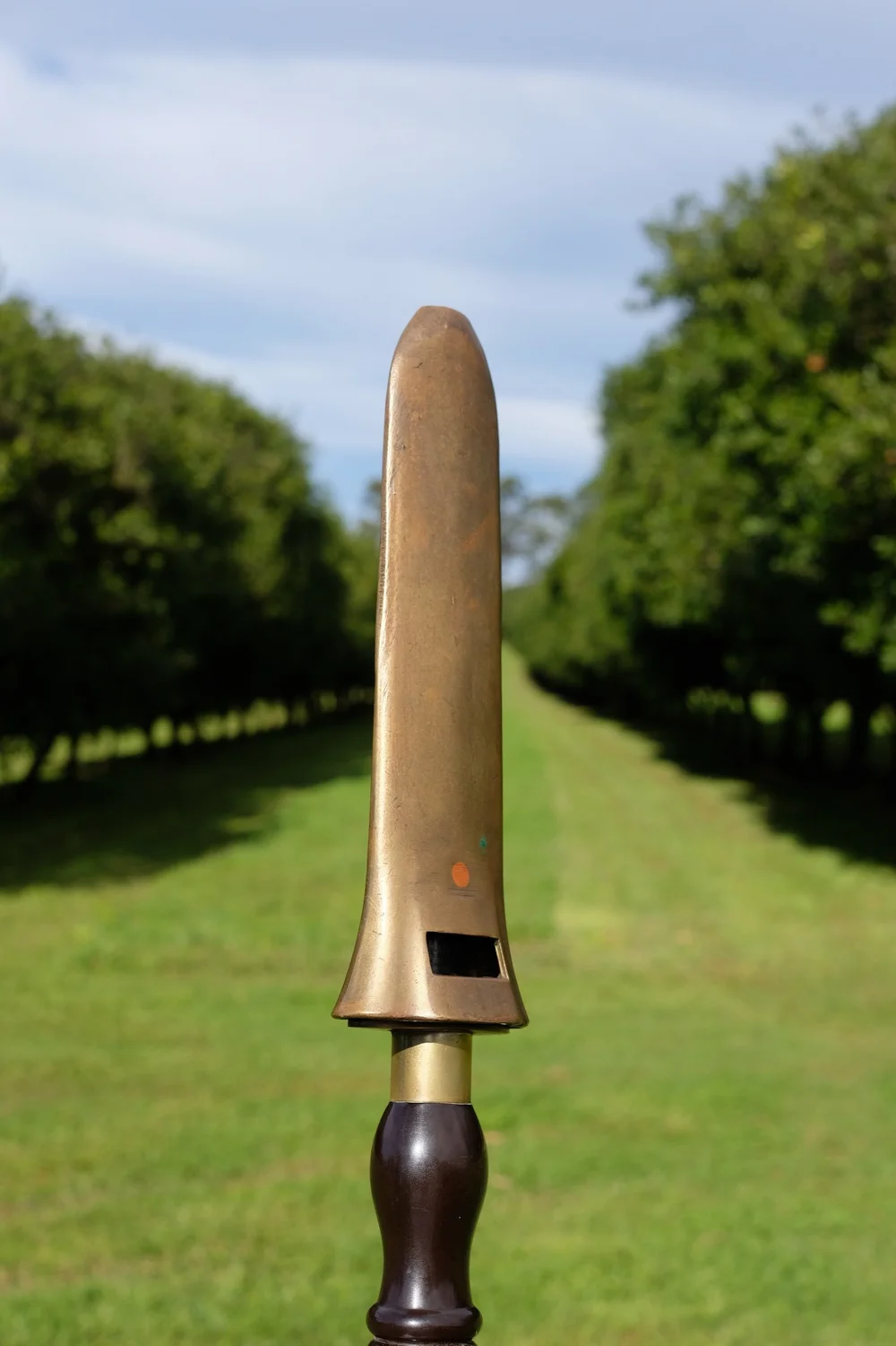 CA97AD72-4FD4-4E00-A8E6-0BCC159C082D