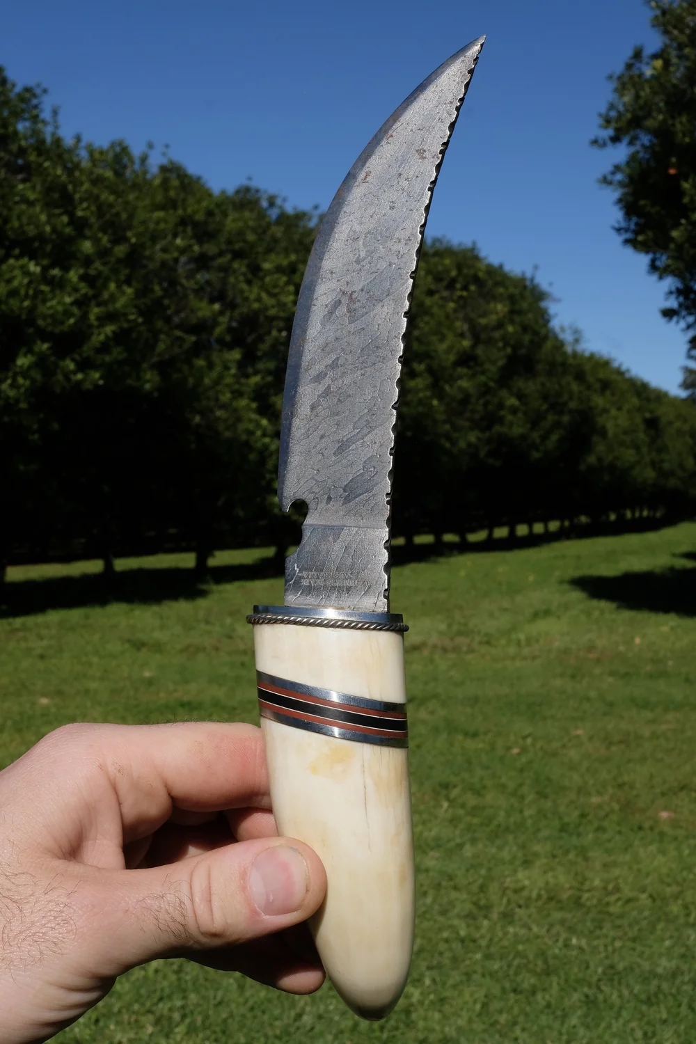 DSCF1895+2 Damascus Dagger