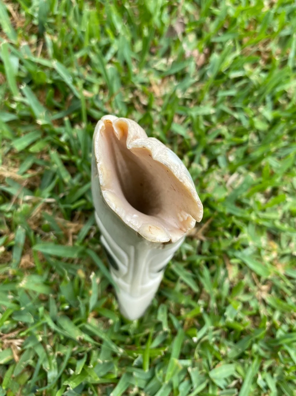 E944A54E-F03A-48BB-83F3-4C4139710ABB