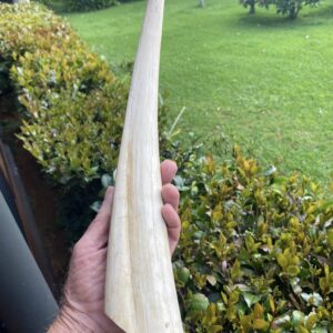Walrus Tusk