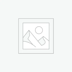 Walrus Ivory For Sale